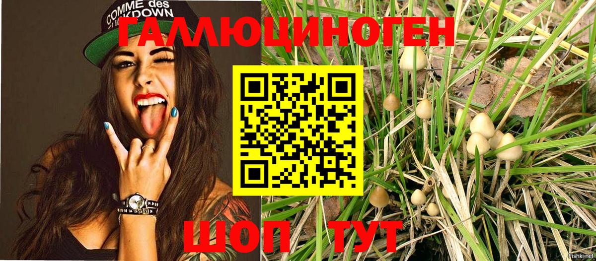 Галлюциногенные грибы Magic Shrooms  Вход с VPN  Соль-Илецк 