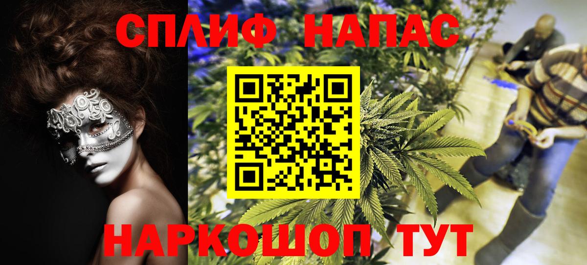Канабис гибрид Соль-Илецк