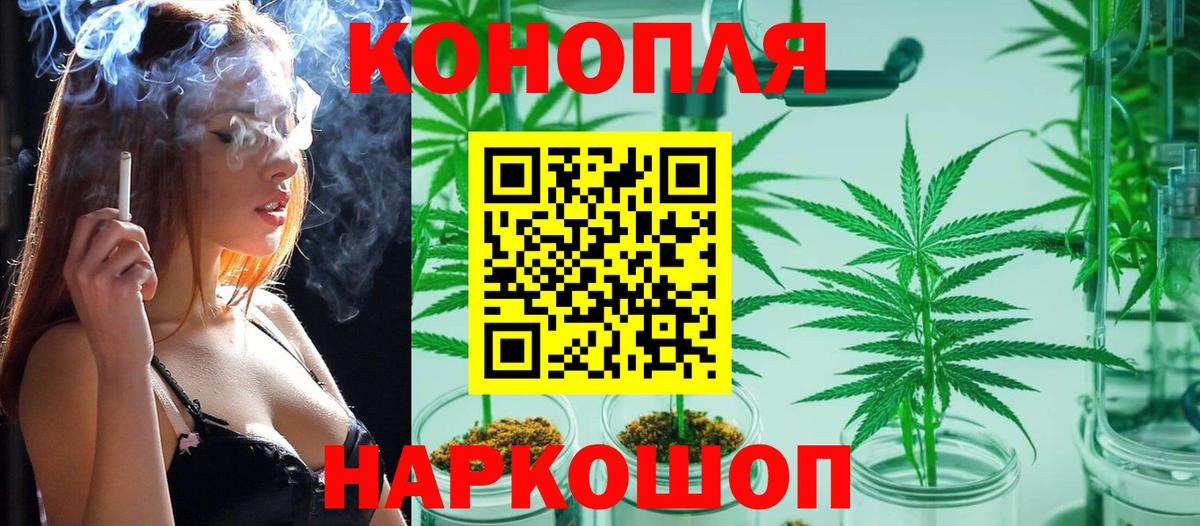 Бошки Шишки ГИДРОПОН  Конопля план  Вход с VPN  Соль-Илецк 